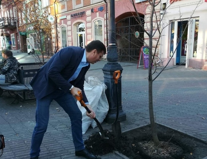 Теперь нам Кировке приживаются девять взрослых лип. Фото: vk.com/greentheatre74