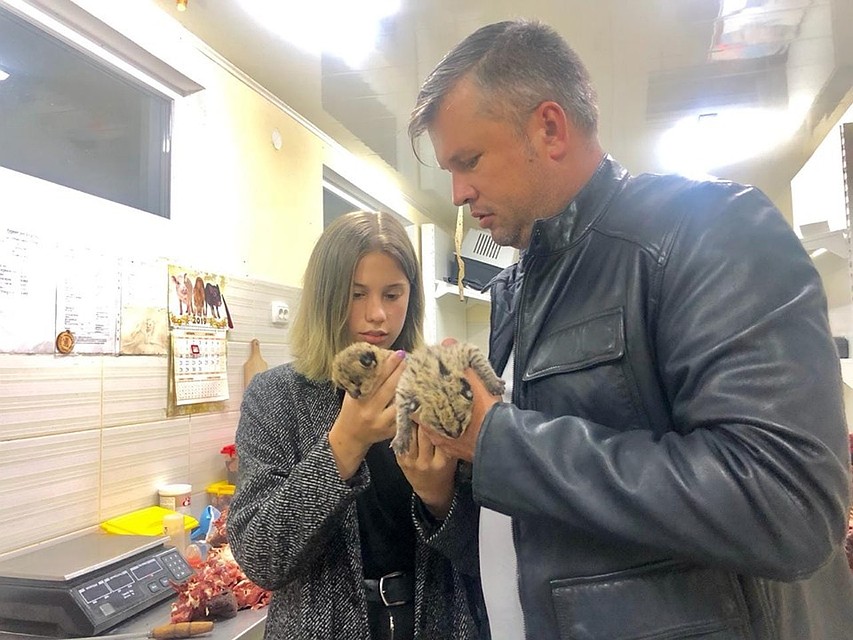 Котята чувствуют себя хорошо. Фото: Facebook