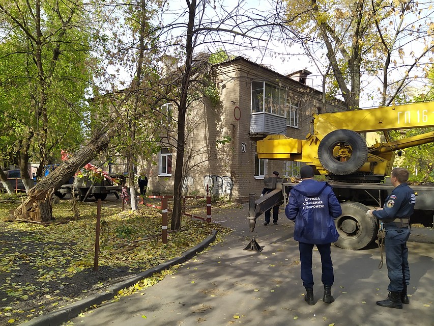 Тополь мог упасть и в обратную сторону - на машины местных жителей или на тротуар
