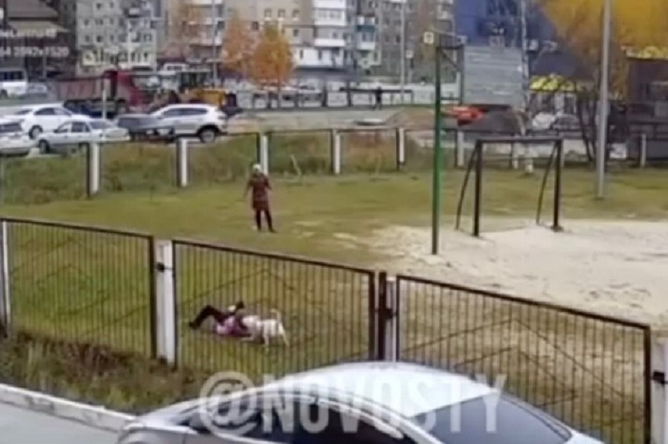 В Нижневартовске бультерьер напал на детей в школьном дворе. Скрин с видео