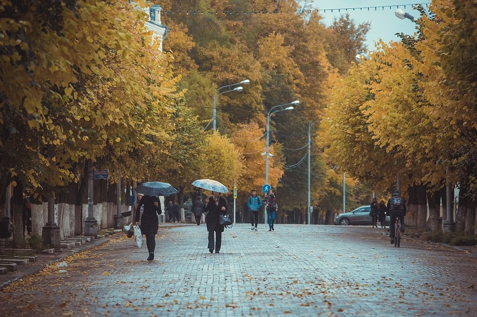 ФОТО: администрация Смоленска, ВКонтакте.