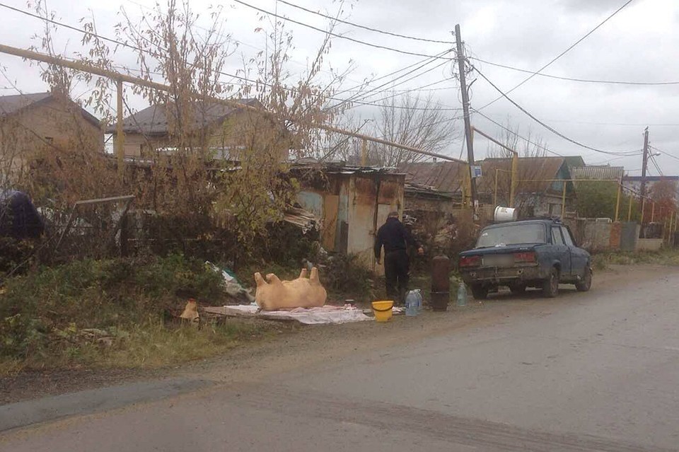 Такую картину люди регулярно наблюдают под окнами. Фото: Карен Даллакян