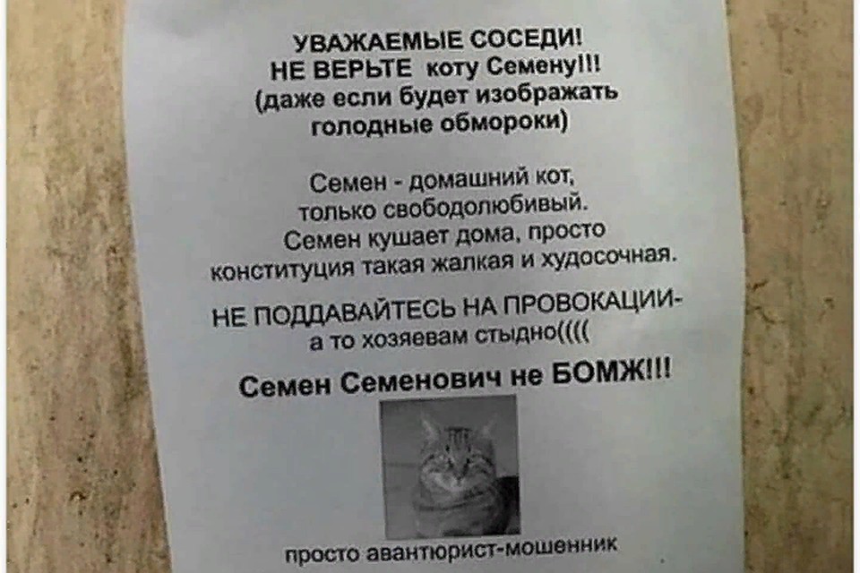 На уловки хитреца попалась уже достаточно жертва. Фото: irecommend_vdk.