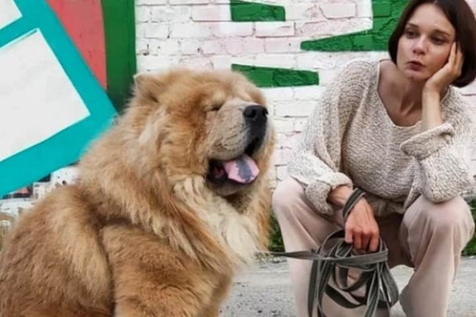 Платон внушительный и добродушный. Фото: страница героини публикации в соцсети.