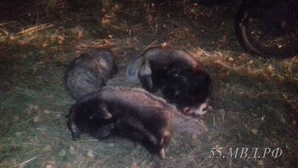 Мужчина был вооружен ружьем и лопатой.