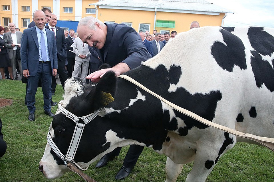 О своем подворье Лукашенко рассказывает часто и с трепетом. Фото:belta.by