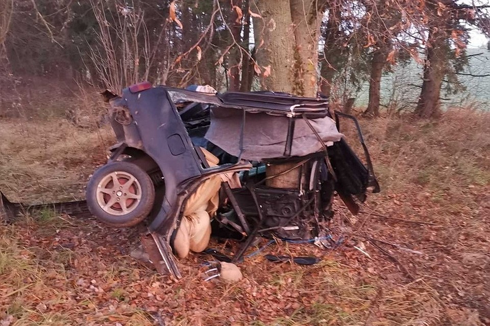 Под Оршей Volkswagen влетел в дерево. Фото: ГАИ