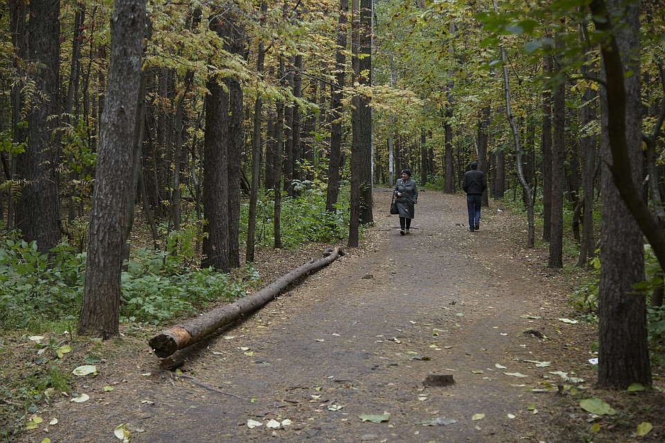 Фото: Сергей Грачев