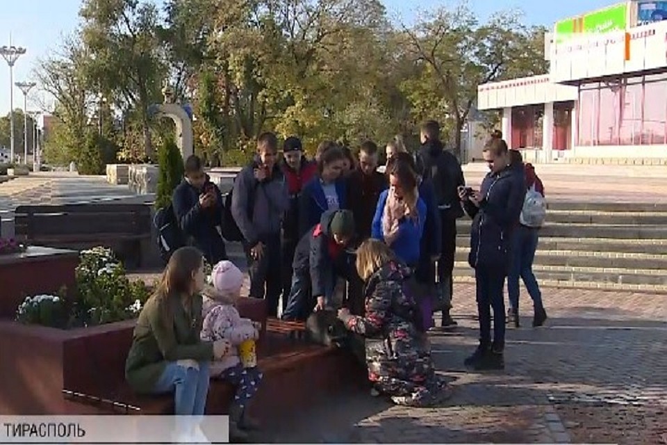 Все прохожие при виде Грю расплываются в улыбке, достают телефон, чтобы сфотографироваться, и спрашивают, можно ли погладить. Фото: скриншот из видео