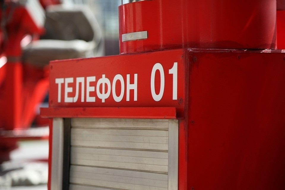 В «огненном» сарае в ЕАО чуть заживо не сгорели животные