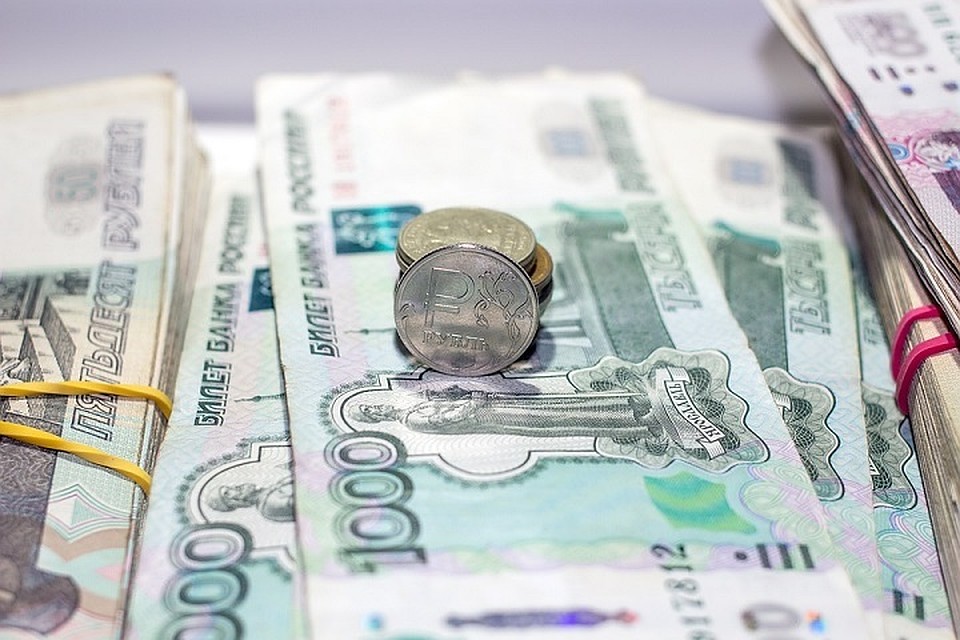 Какие выплаты положены ямальским семьям, стоящим в очереди на земельный участок Фото: pixabay.com