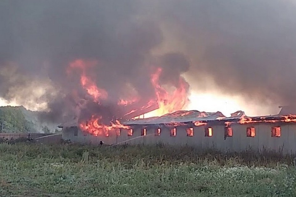 Многие любят смотреть на пламя. Но не настолько, чтоб устраивать пожары...