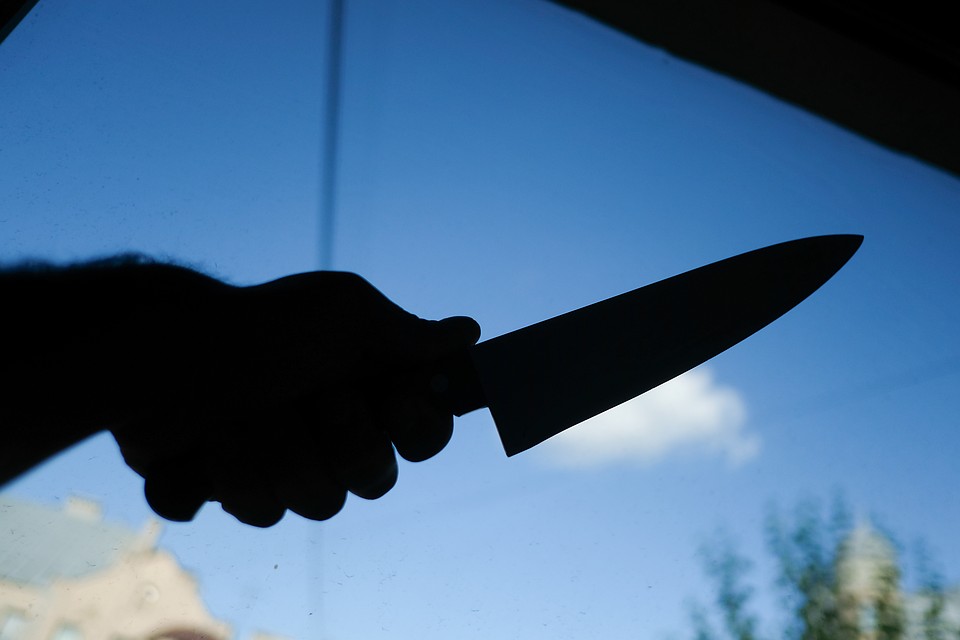 Житель Волосовского района подозревается в попытке убийства охранника в поселке Сумино