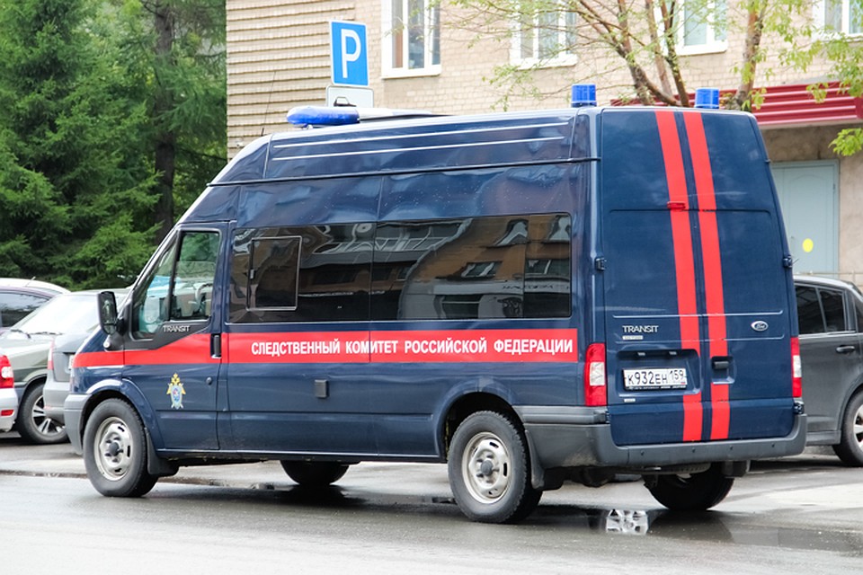 Делом занимался следственный комитет.