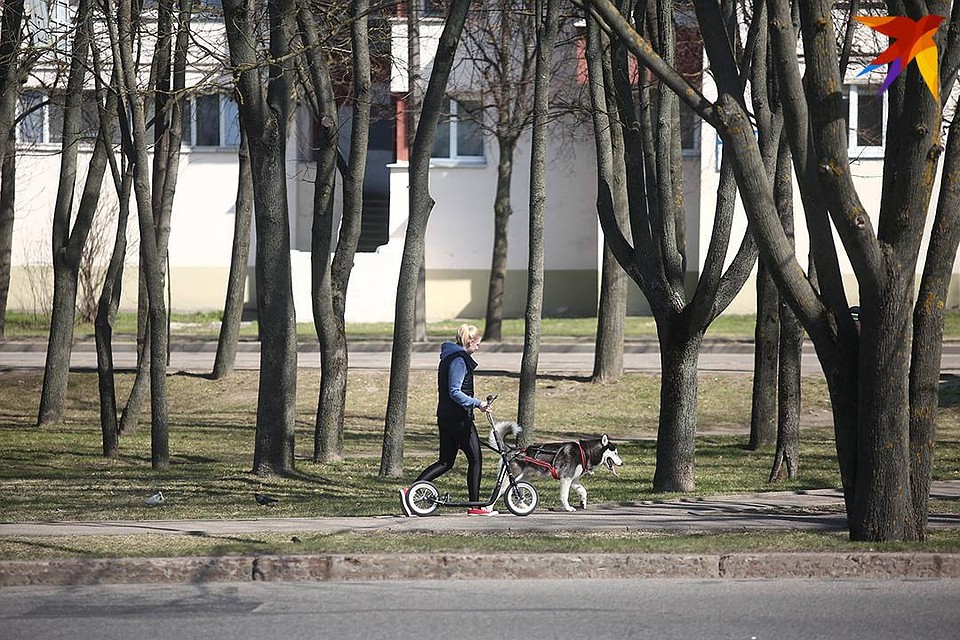 Ноябрь в этом году пусть и не очень солнечный, но с температурой выше климатической нормы