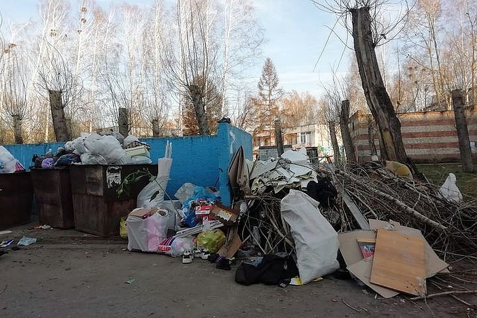 Мусор в Заринске. Фото: Алексей Иванов