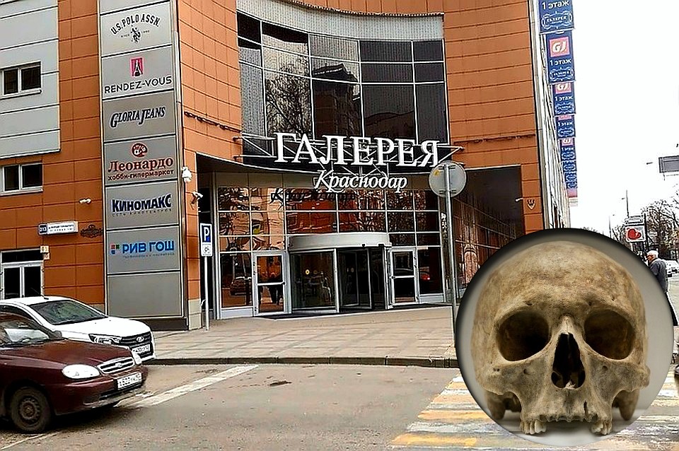 На вид череп старый, однако кому он принадлежит, предстоит выяснить экспертам.