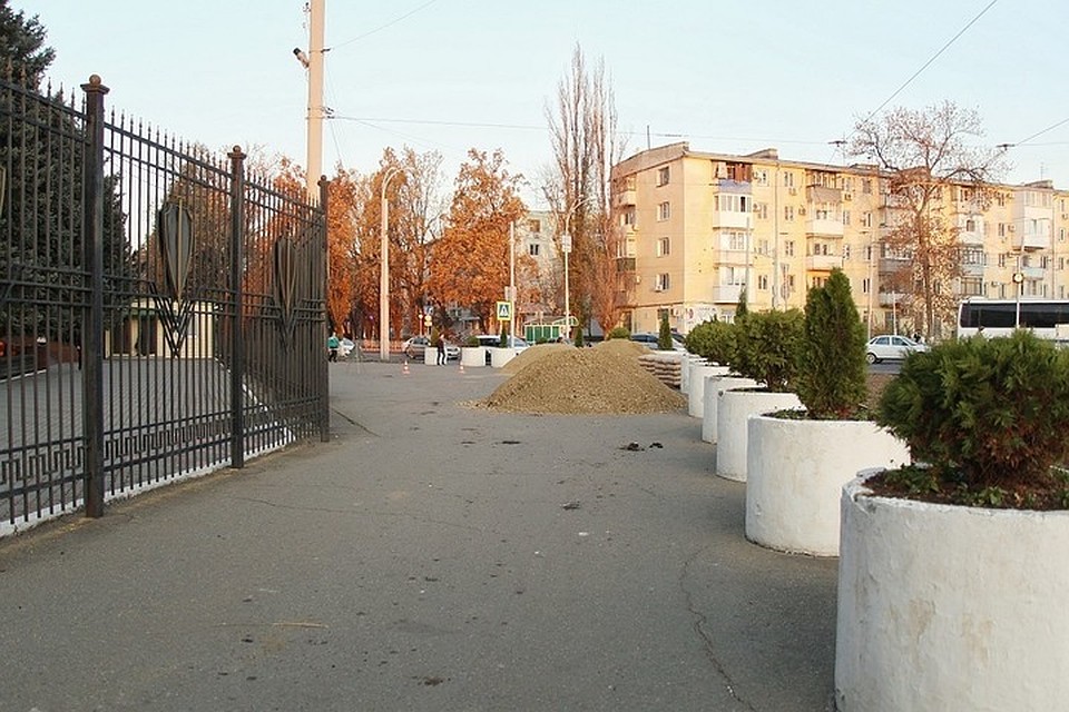Фото: администрация Краснодара