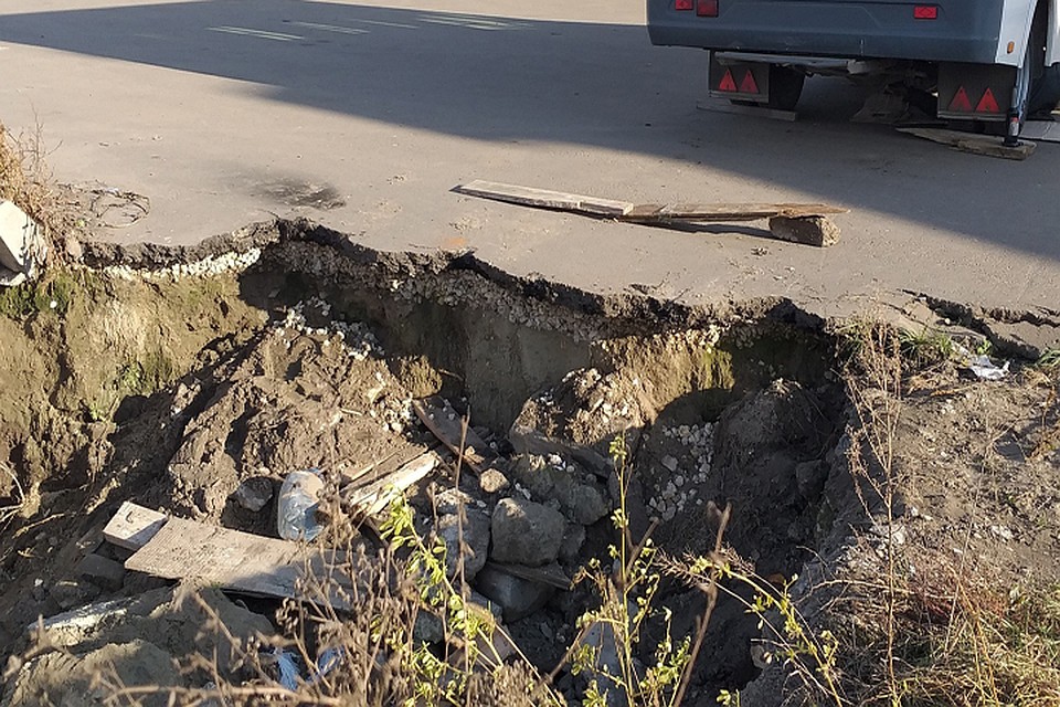 Фото: Владимир Кулик.