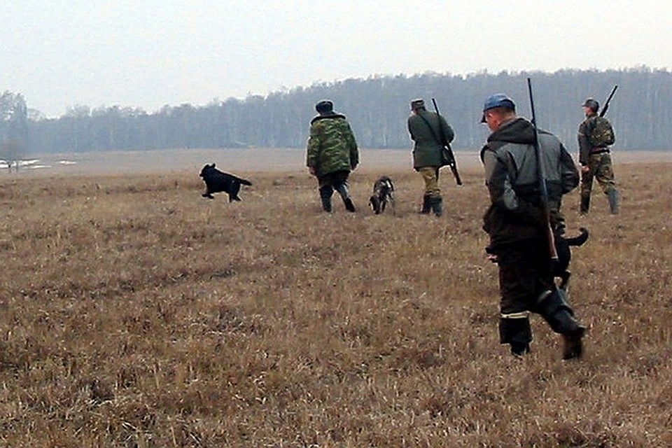 Ограничения будут действовать до 15 января 2020 года