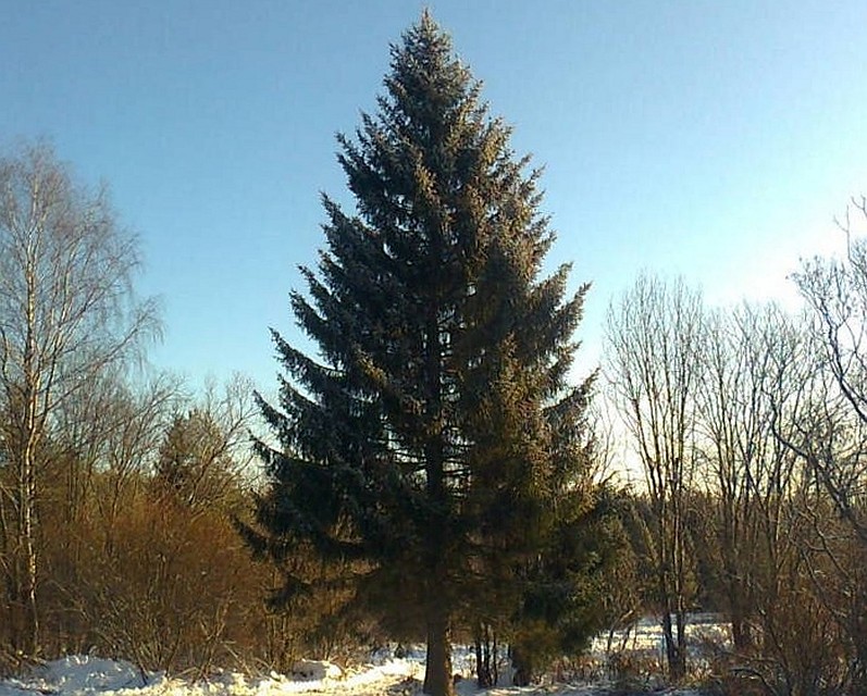 Фото пресс-службы городской администрации