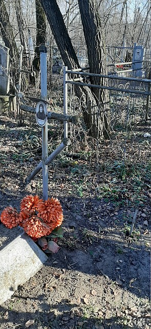 Могила прабабушки Веры Репниковой теперь стоит без ограды.