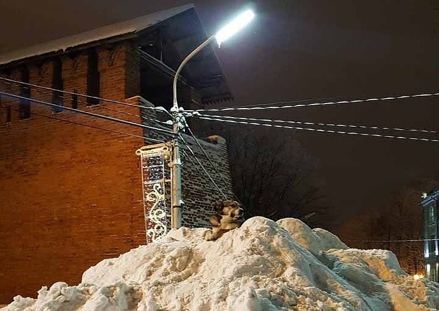 Фото: ВКонтакте.