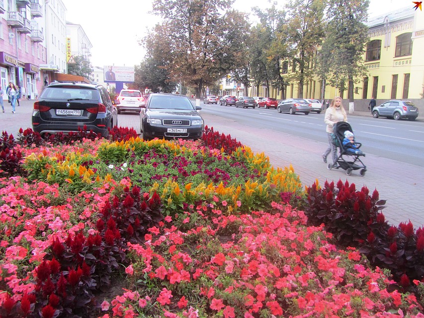 Курян призывают сообщать о краже люков
