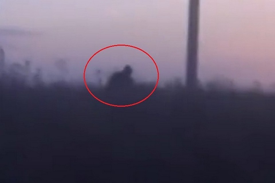 Стоп-кадр того самого загадочного видео, на котором запечатлено человекоподобное существо