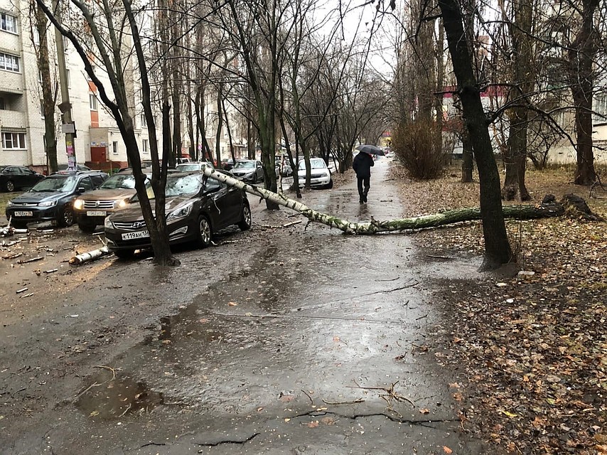 Дерево сильно повредило один "Хендай"...