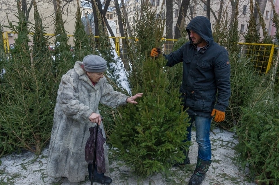 Черные лесорубы уже готовятся к елочным базарам.
