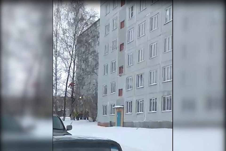 Мужчина повис на дереве в кемеровском дворе. Фото: Марина МИШИНА