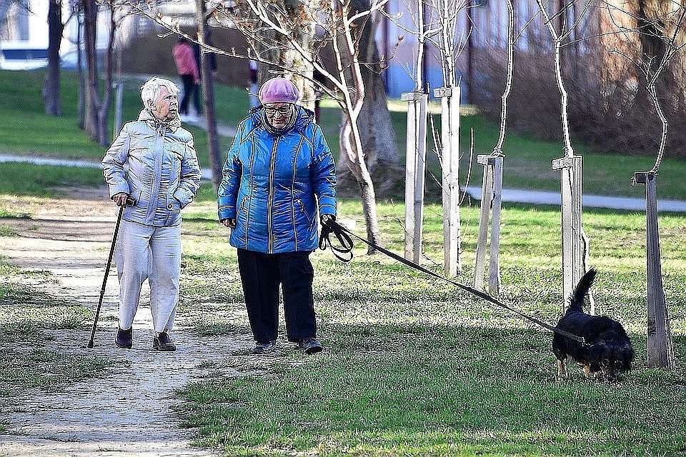 Авторы инициативы заявляют, что взыскание долгов с пособий пенсионеров нарушает конституционное право на социальное обеспечение