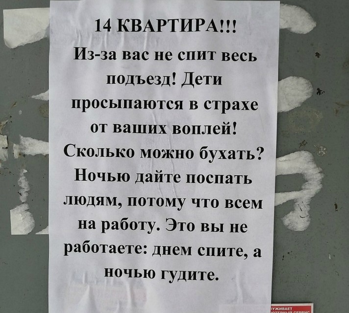 Фото: vk.com/omskgolo