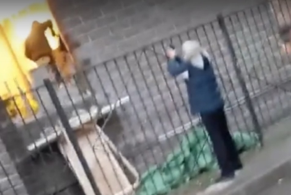 Часть конфликта дедушки и рабочих попала на видео. Фото: vk.com/9kino.live