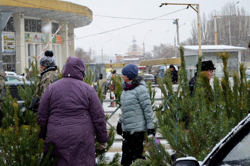 Елочные базары в Липецке откроются 20 декабря