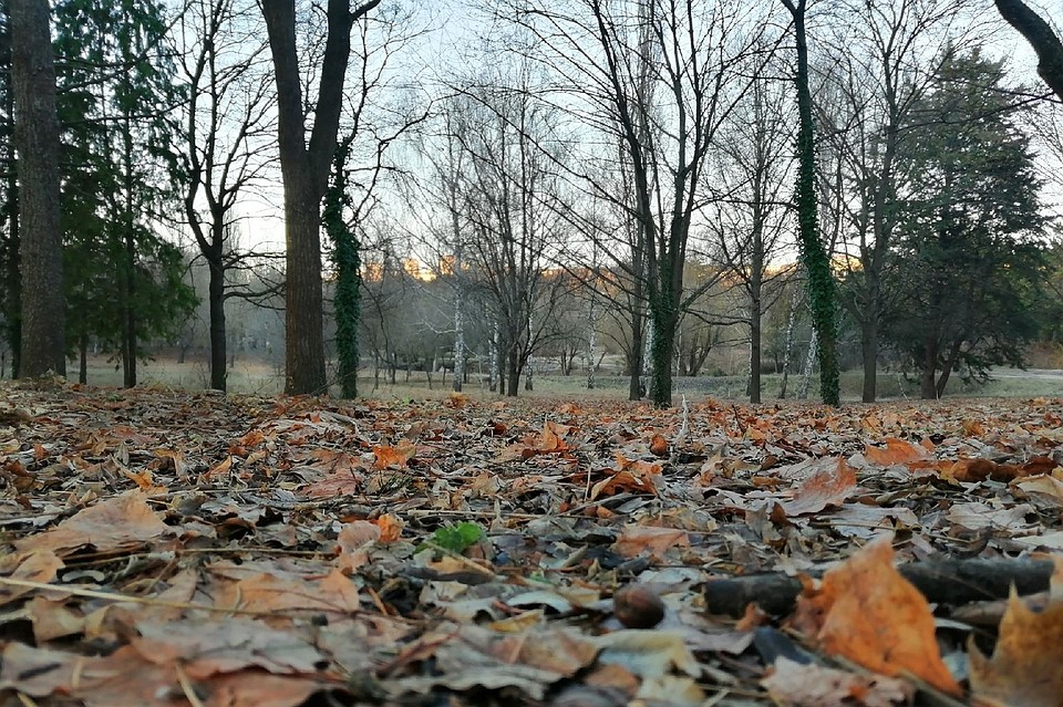 В Симферополе переменная облачность.