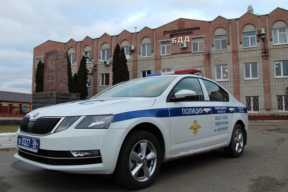 Мы поближе рассмотрели новые автомобили.