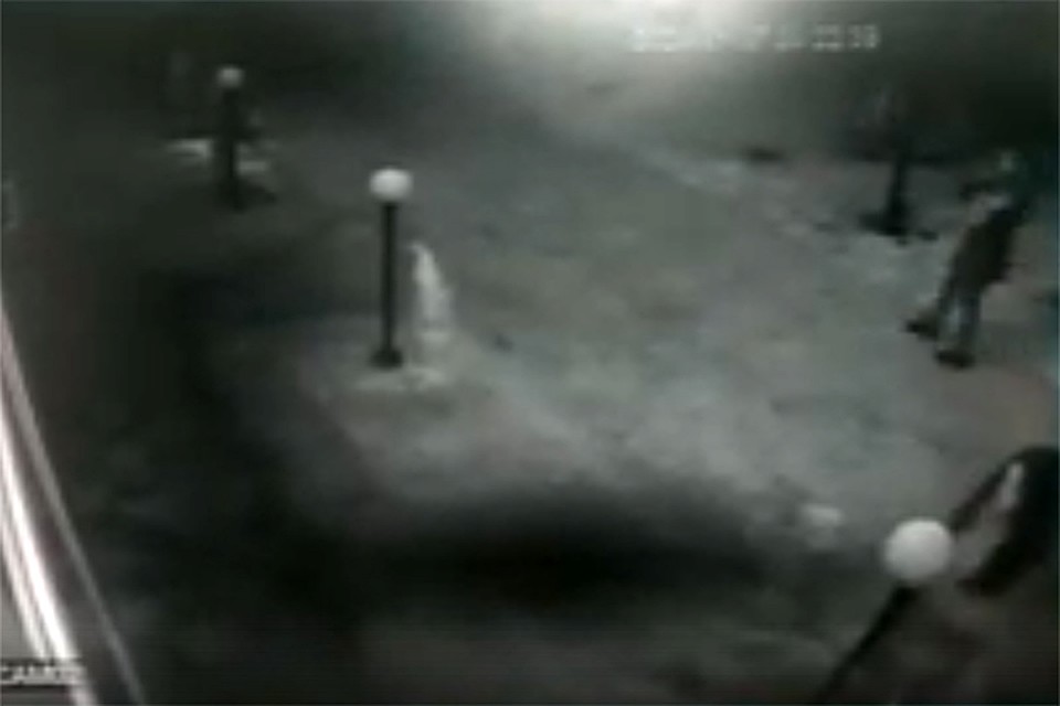 Фото: скриншот видео ВКонтакте.