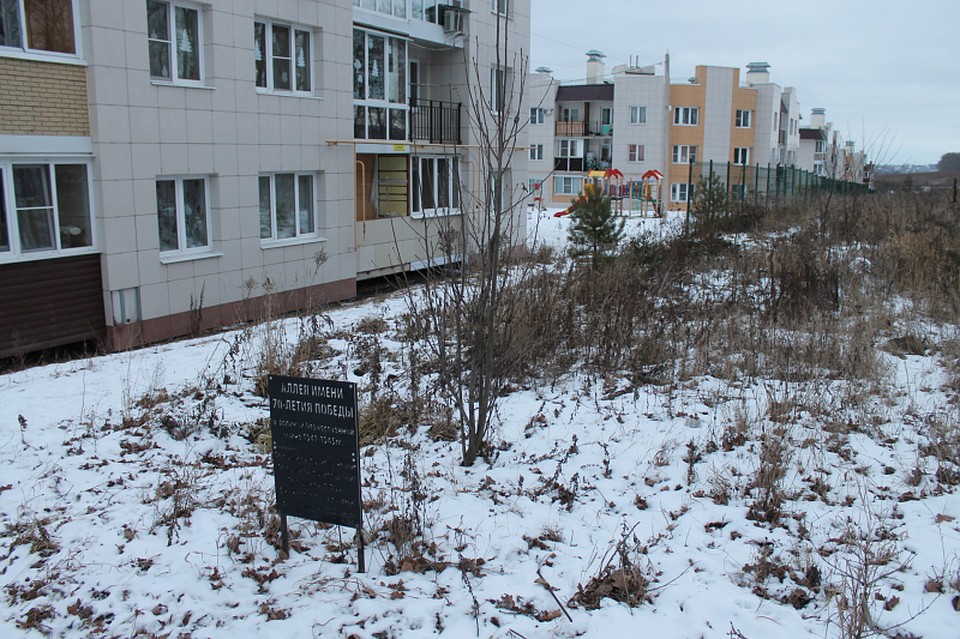 Фото: Общероссийский народный фронт в Тульской области
