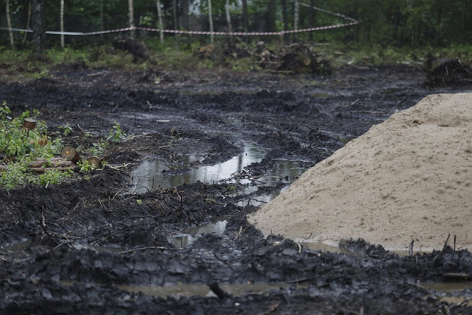 Без снега и мороза рабочим не добраться до некоторых участков в лесу.