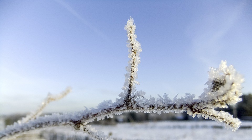 Фото: Pixabay.com