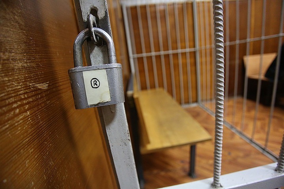 Всего было изъято 24 растения
