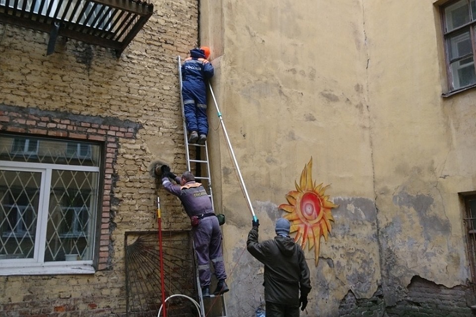 Спасателям не удалось вызволить кота, застрявшего между стенами домов в центре Петербурга. Фото: vk.com/koshkispas