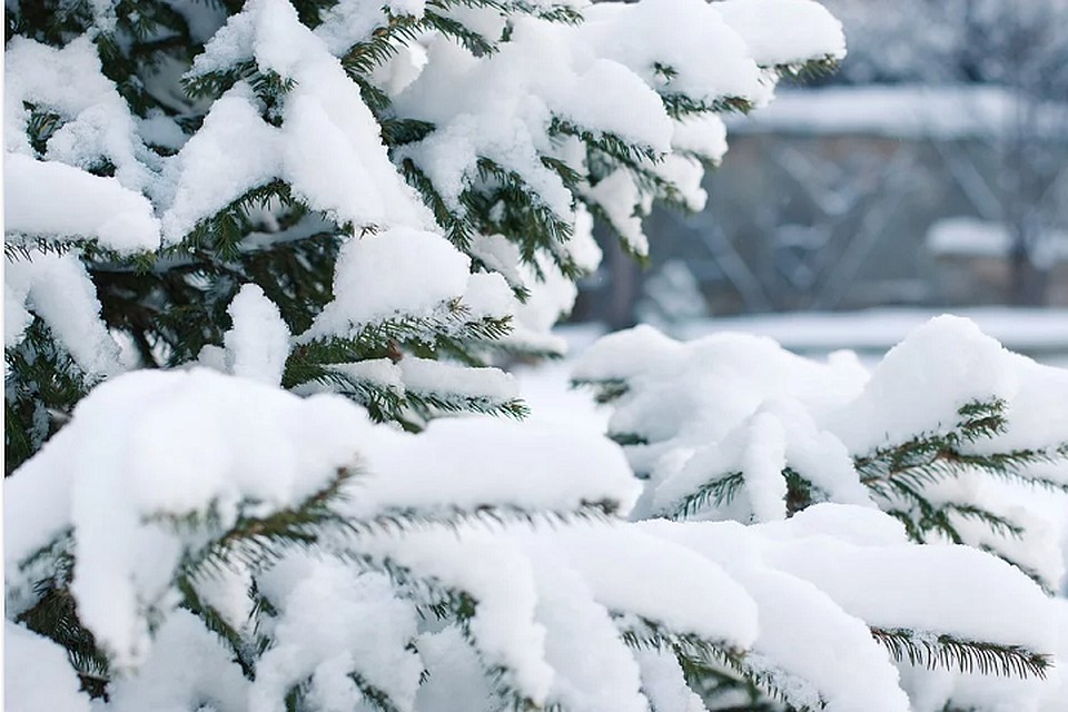 Погода на Ямале 6 февраля: снегопады не отступают Фото: pixabay.com