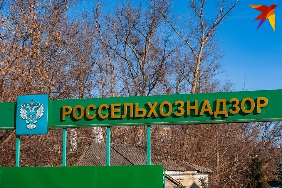 Орловская область стала в 4,5 раза больше экспортировать мясные субпродукты