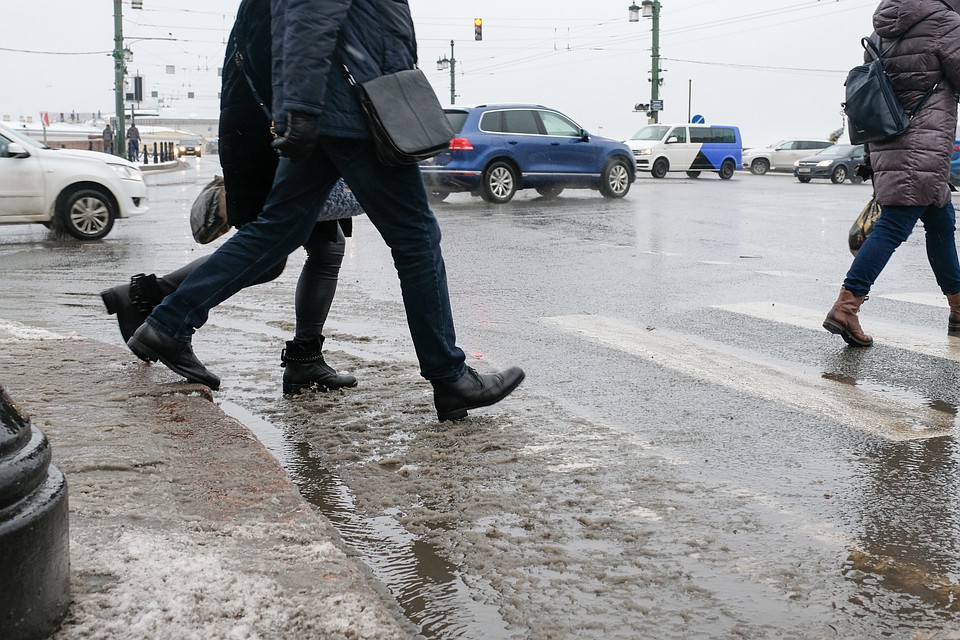 Мокрый снег, дождь и теплая погода ожидаются в Петербурге и Ленобласти