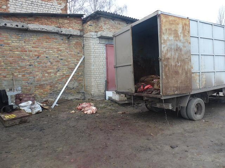 Фото пресс-службы Пограничного управления.