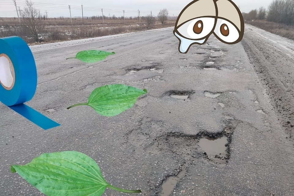 Между Петербургом и Ленобластью нашли бесхозную дорогу, которая никому не нужна. Фото: vk.com/krasnoe_selo