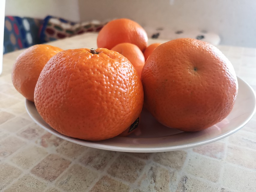 В дорогу не возьмешь ни мяса шматочек, ни йогурт (они были запрещены), ни фрукты.